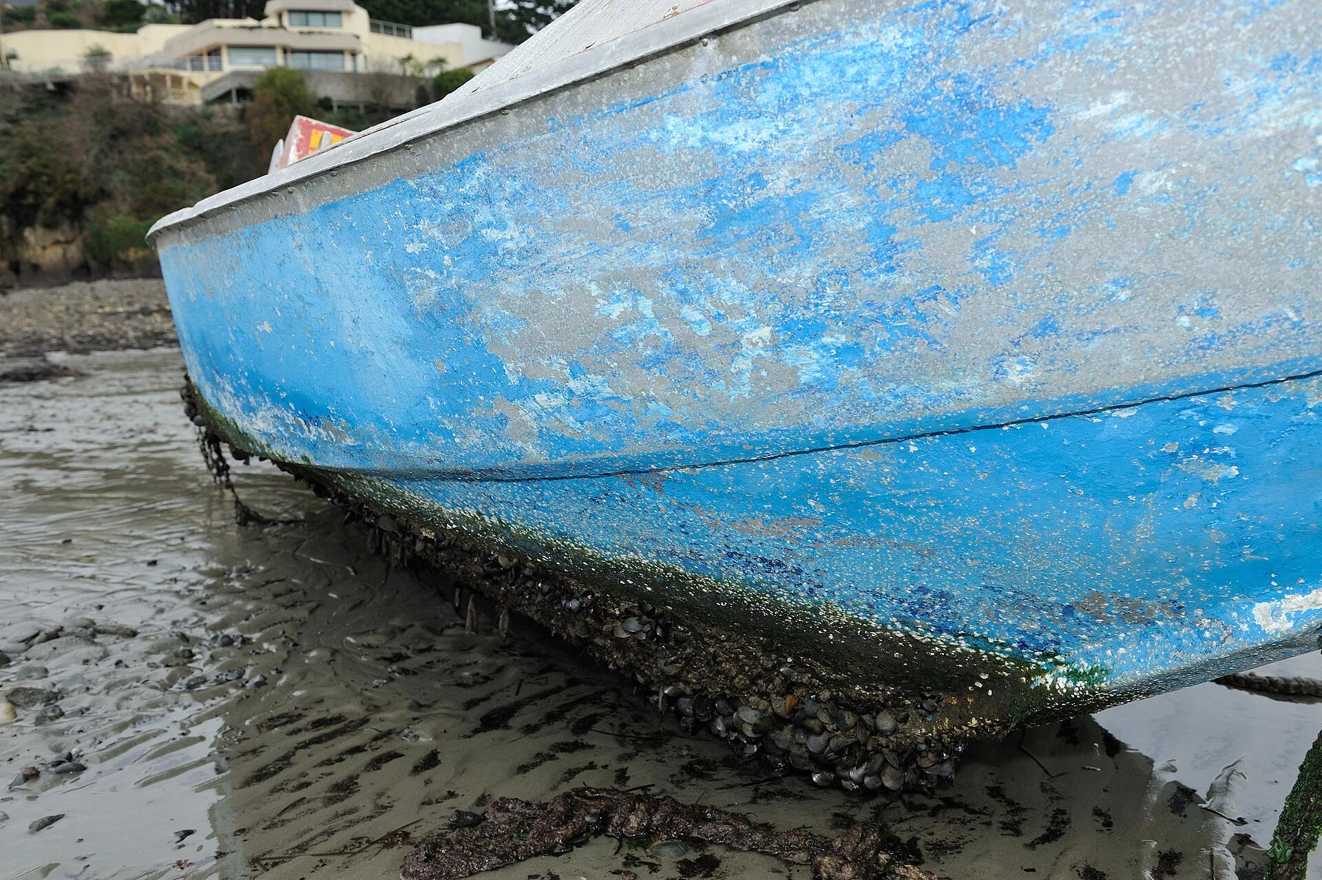 Encrassement biologique (biofouling) sur une coque de bateau, balanes et organismes marins fixes