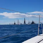 Des voiliers naviguant en mer Méditerranée