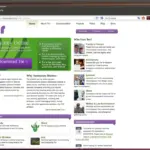 Le navigateur Tor affichant la page du projet Tor, l'un des navigateurs testés face aux techniques de prise d'empreinte