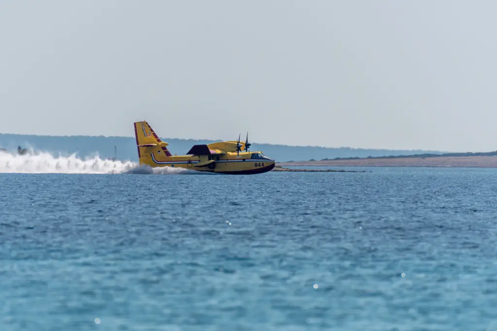Avion Canadair bombardier d eau
