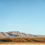 Trois avions de combat en vol, photographie d'illustration