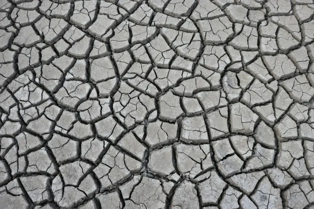 Terre craquelee par la secheresse dans une zone agricole