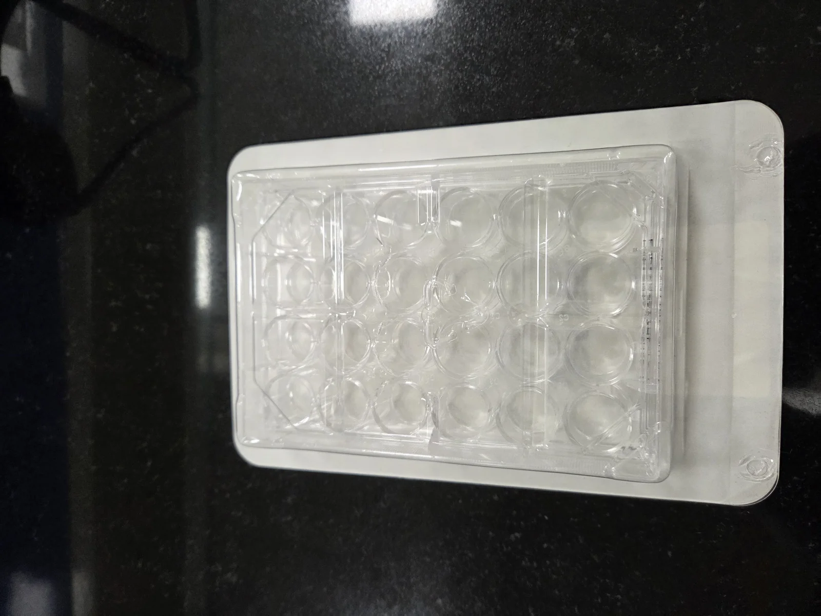 Plaque de culture cellulaire stérile à 24 puits utilisée en laboratoire de recherche