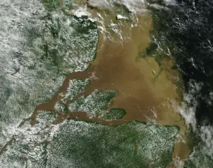 Lire la suite à propos de l’article Pétrole en Amazonie : Lula salue une découverte au large de l’Amapá