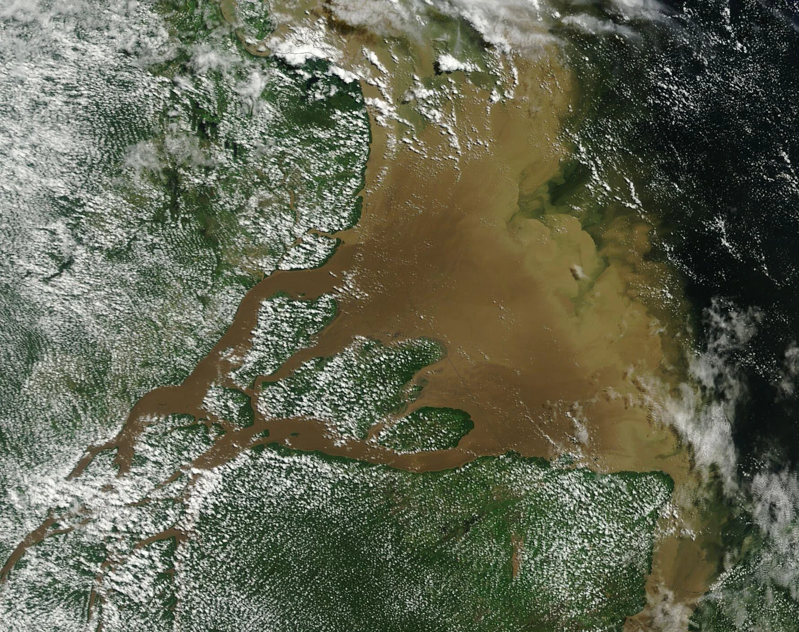 Vue satellite de l’embouchure de l’Amazone et de son panache de sédiments dans l’Atlantique