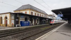 Lire la suite à propos de l’article Nationalité suisse : retrait confirmé pour un ex-résident qui planifiait des attentats en France