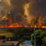 Incendie de vegetation pres d habitations