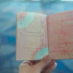 Passeport ouvert avec tampons de voyage, illustration visa Etats-Unis