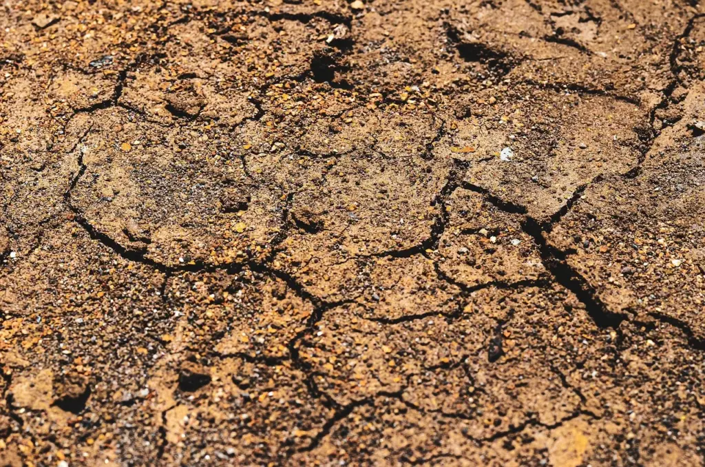 Sol fissuré seisme