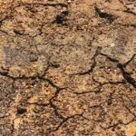 Sol fissuré seisme