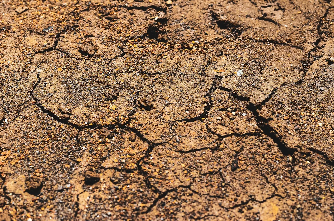 Sol fissuré seisme