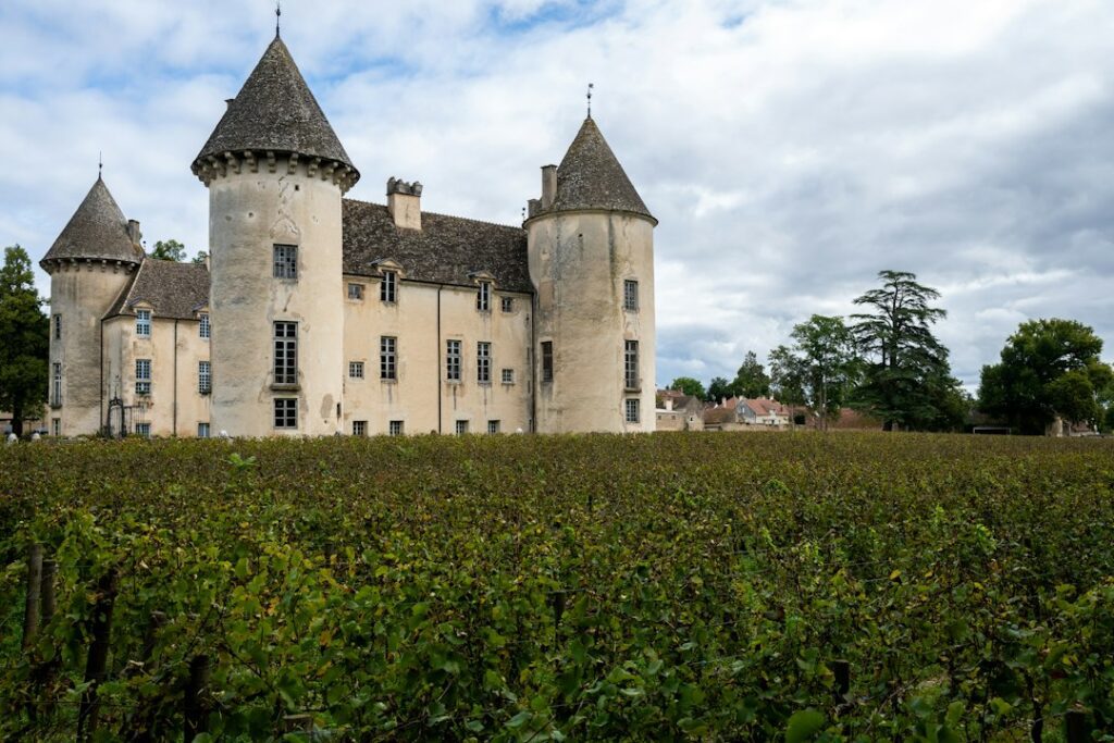 Un château français se dresse derrière un vignoble, illustration du patrimoine historique