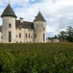 Un château français se dresse derrière un vignoble, illustration du patrimoine historique