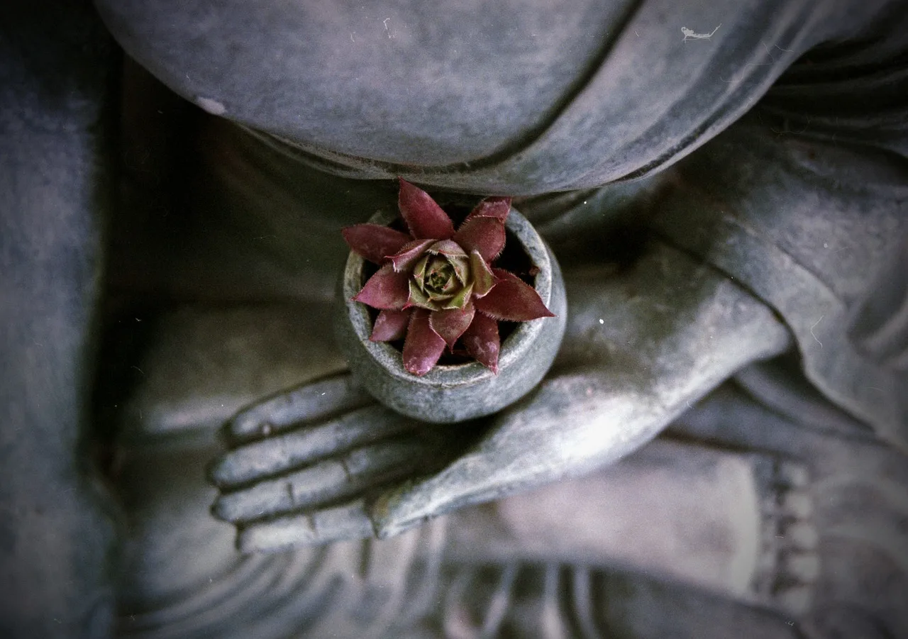 Statue de Bouddha en meditation