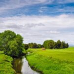 a river running through a lush green field