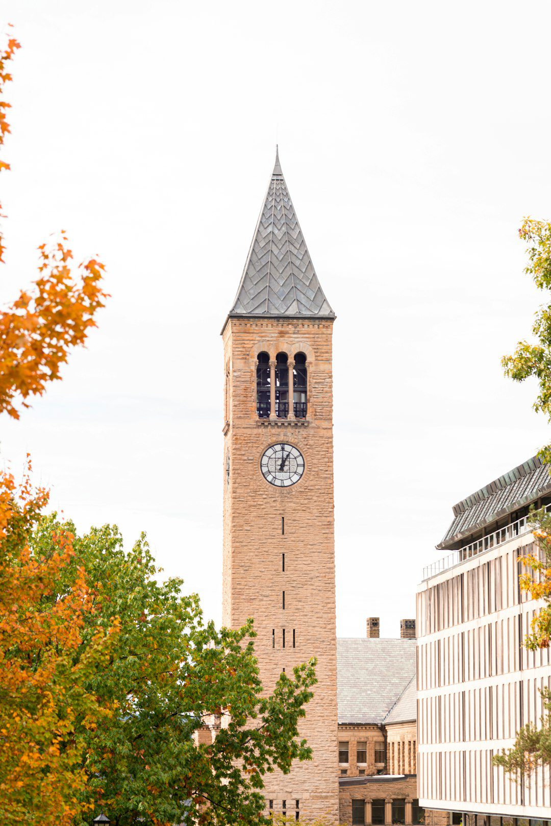 A tall brick clock tower framed by autumn leaves